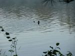 Petawawa River (Jul 2012) - B and S (1) - 145
